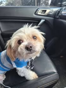 Rescued With Love