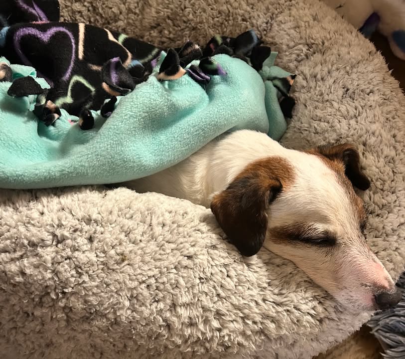 Rescued With Love